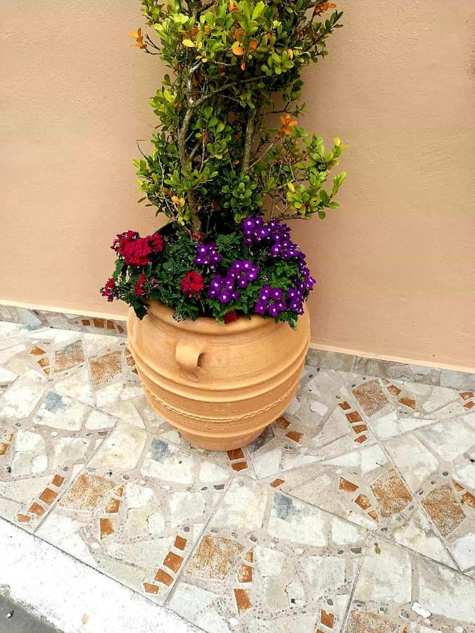 Joy New Port Studio Corfu Town Bagian luar foto
